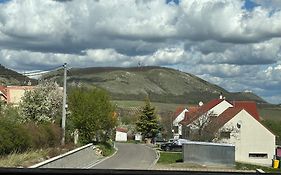 Penzion Živá Pálava